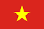 Vietnamese Hoạt động